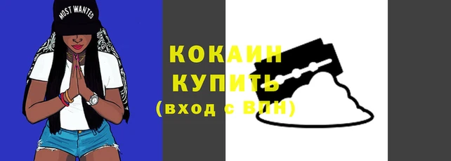 тгк Волоколамск