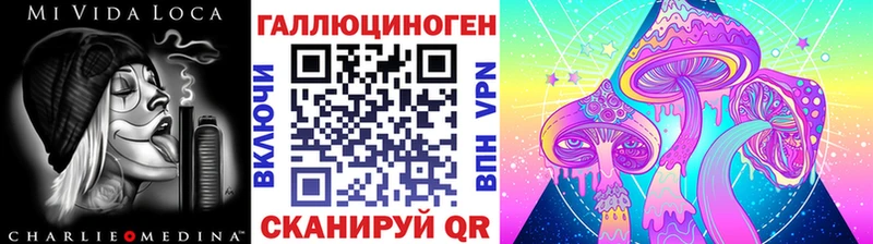 Купить закладки  Кашин  Псилоцибиновые грибы Cubensis 